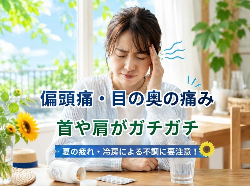 seitaizutusu